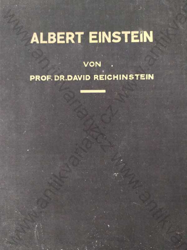 David Reichinstein - Albert Einstein
