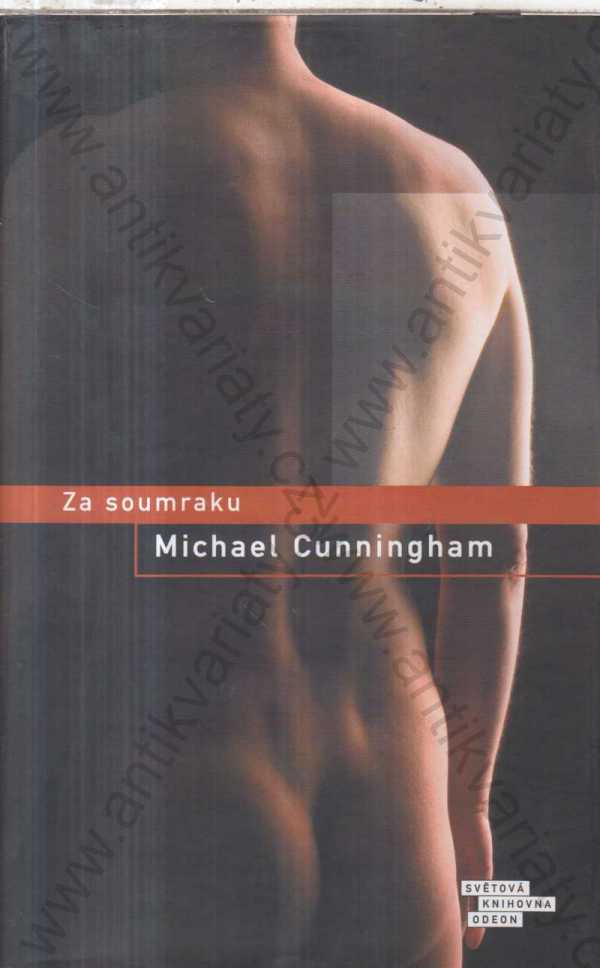 Michel Cunningham - Za soumraku