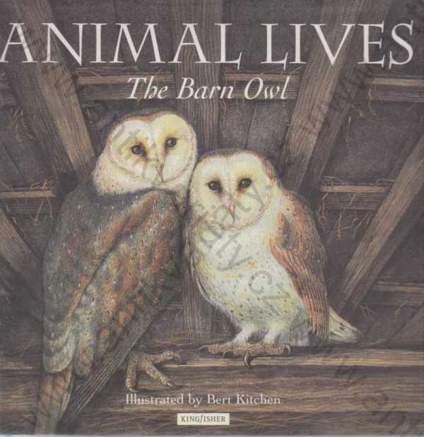 Sally Tagholm - Animal Lives - The Barn Owl