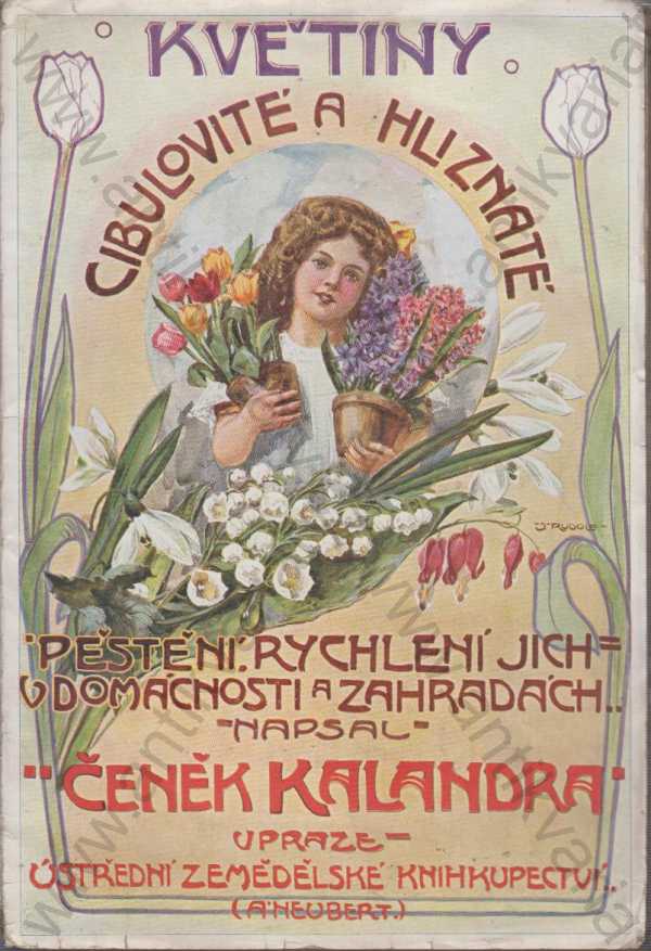 Čeněk Kalandra  - Květiny cibulovité a hlíznaté