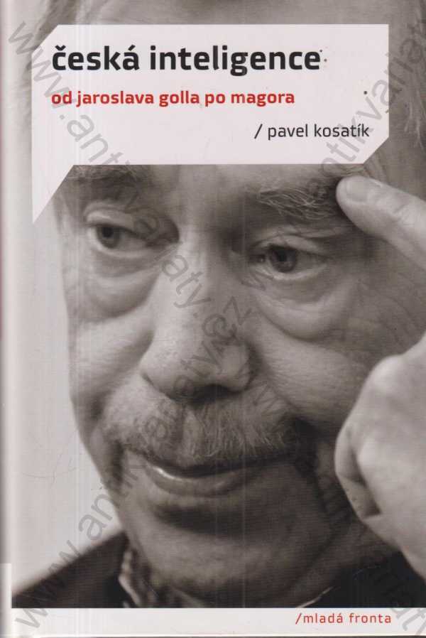 Pavel Kosatík - Česká inteligence