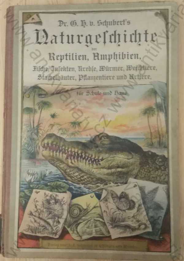 G. H. Schubert - Naturgeschichte der Säugetiere; Naturgeschichte der Vögel; Naturgeschichte der Reptilien, Amphibien