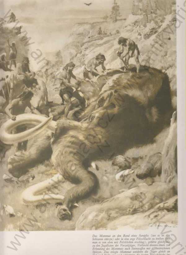 Josef Augusta - Das Buch von den Mammuten